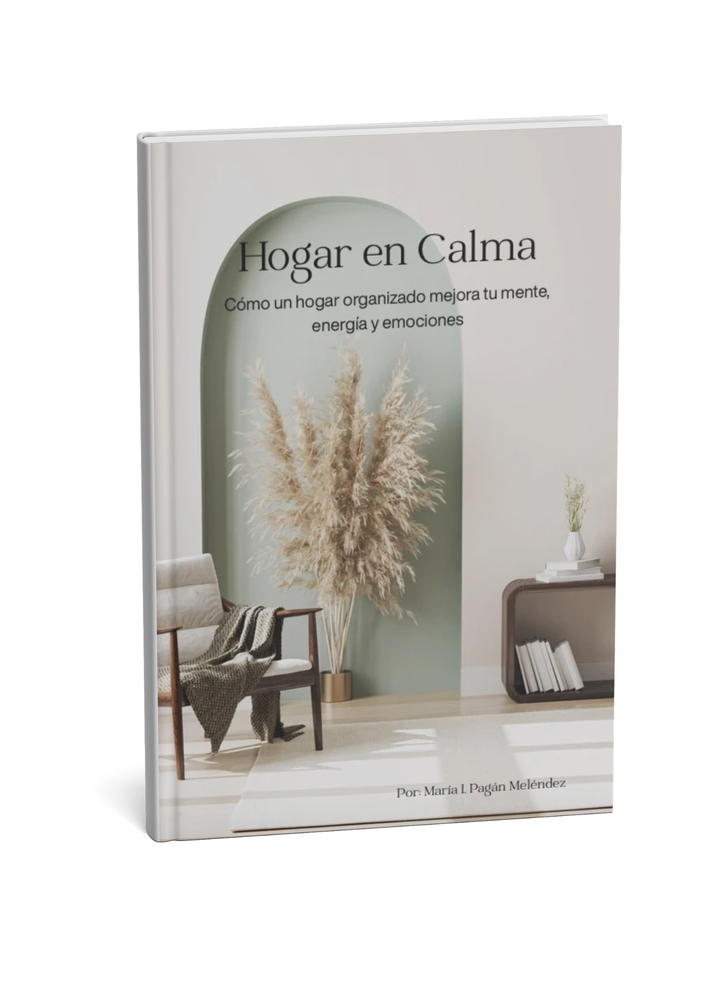Hogar en calma: Como un hogar organizado mejora tu mente energía y emociones